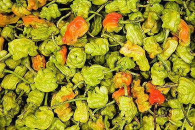 《拳皇15》DLC里大蛇队预告 角色包8月上线